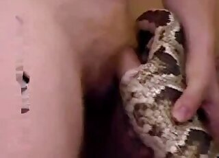 Fisting bestiality xxx