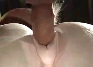 Good white pony nicely fucked from behind