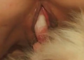 Animalistic love-making with a hound