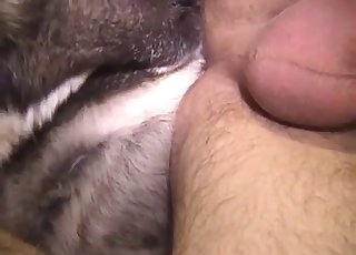 Dude is obsessed with anal sex