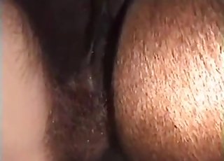 Mu veiny dick looks nice in horse anus