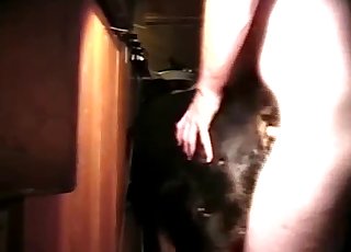 Juicy hard dick licked by the dog