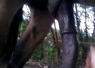 Outdoors showcase of a beautiful cock