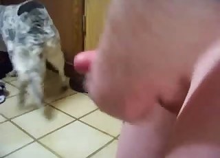 Fat dog fucked hard by a hung stud here