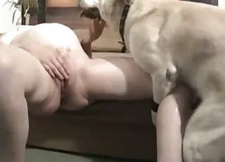 Pregnant-looking chick fucks a dog
