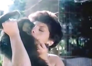 Monkey gets a real passionate blowjob