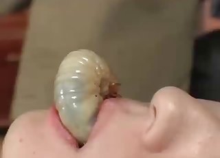 Shitty JAV zoo porn with maggots
