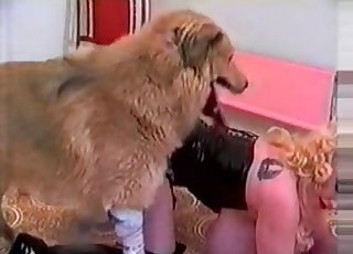 Saggy tits blonde fucks a horny dog