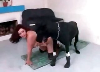 Adorable lady is enjoying her trained animal