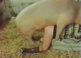 Passionate pig fucking a MILF