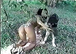 Sweet trained dog fucked her wet cunt