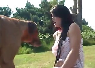 Amazing bestiality action on the grass