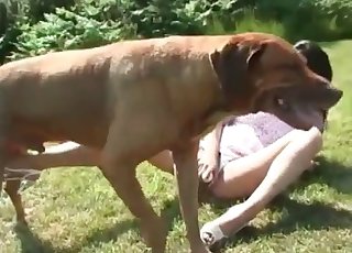 Amazing bestiality action on the grass