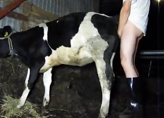 Dude fucks his sexy cow from behind