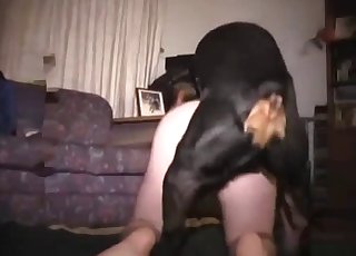 Doggy style fuck with a passionate dog