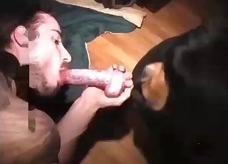 Filthy guy sucking his animal with passion