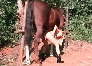 Sexy chick and stallion having nice sex