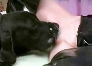 Sexy black dog eats her wet vagina