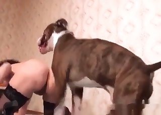 Doggy is having fun with a slender bitch