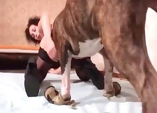 Doggy is having fun with a slender bitch