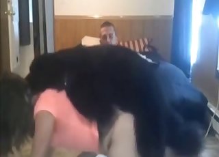 Passionate hottie fucked by big black animal
