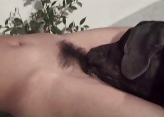 Sexy big dog and passionate brunette