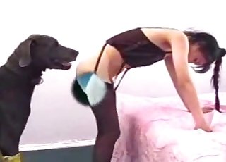 Black animal and passionate sexy amateur