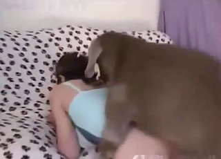 Sexy heels hottie ravaged from behind