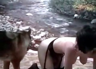Trained shepherd fucked her wide ass