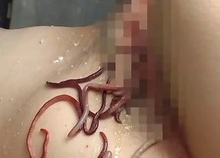 Hairy pussy JAV hottie fucks worms