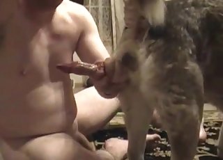 Trained animal in perfectly nasty bestiality