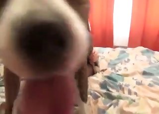 Sexy big doggy stuck in her cunt