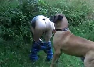 Thong-wearing slut seducing a dog outdoors