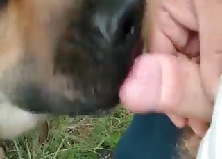 Jerking his tiny boner (zoo sex with a twist)