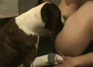 Doggy sensually licks my tight snatch