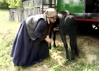Small black pony sucked by farm zoofil