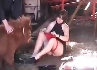 Sexy small pony and perverted zoophile slut