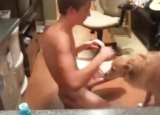 Awesome trained doggy is sucking a huge dick