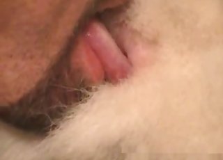 Peachy animal pussy fingered hard