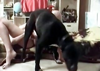 Zoo porn with dog and its master
