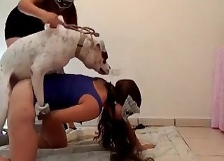 Trained animals fucking a hot pervert