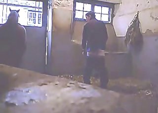 Hardcore barn sex with a filthy pony