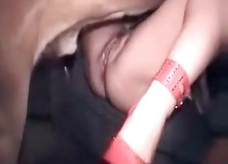 Very impressive sex session with a beast