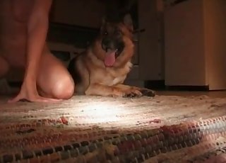 Sweet shepherd takes a part in animal sex
