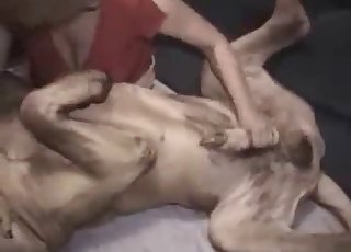 Young zoophile is playing with doggy dick