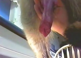 Showing that beautiful mutt cock up close