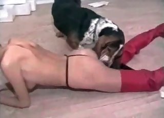 Thong-wearing slut licked by a dog