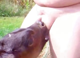 Tiny dick dude gets a nice blowjob