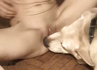 Kinky amateur licked by a horny doggo