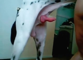 Dog fucked his nice round ass from behind